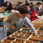 LEGO-TAGE für Kinder