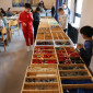 LEGO-TAGE für Kinder